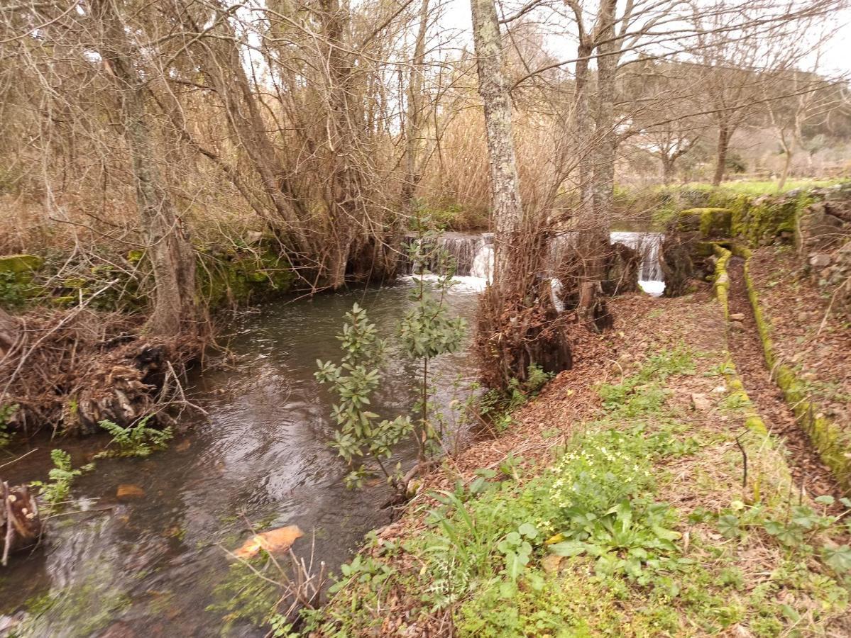 Porto D'Abrigo - Alojamento Local Sardoal Εξωτερικό φωτογραφία